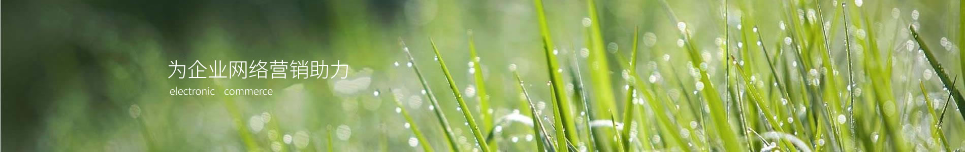 ŷµӿƼ޹˾
